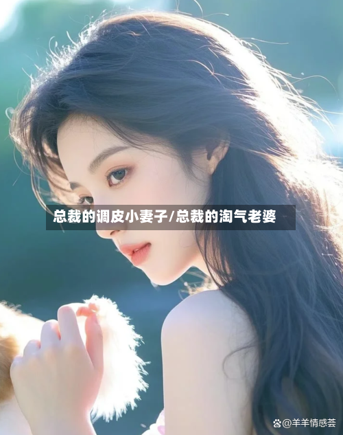 总裁的调皮小妻子/总裁的淘气老婆-第3张图片