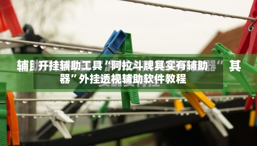 开挂辅助工具“阿拉斗牌其实有辅助器”外挂透视辅助软件教程-第1张图片