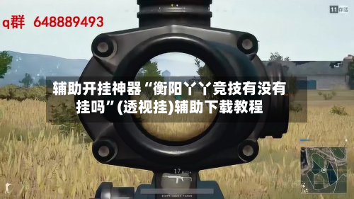 辅助开挂神器“衡阳丫丫竞技有没有挂吗”(透视挂)辅助下载教程-第1张图片