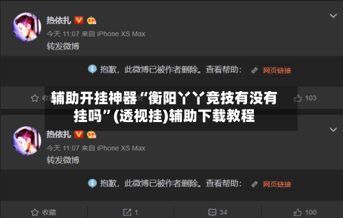 辅助开挂神器“衡阳丫丫竞技有没有挂吗”(透视挂)辅助下载教程-第2张图片