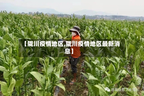 【陇川疫情地区,陇川疫情地区最新消息】-第1张图片