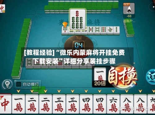[教程经验]“微乐内蒙麻将开挂免费下载安装”详细分享装挂步骤-第3张图片