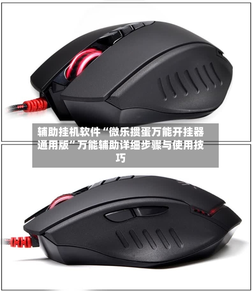 辅助挂机软件“微乐掼蛋万能开挂器通用版	”万能辅助详细步骤与使用技巧-第1张图片