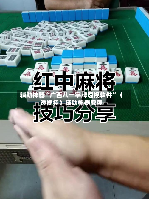 辅助神器“广西八一字牌透视软件”（透视挂）辅助神器教程-第1张图片