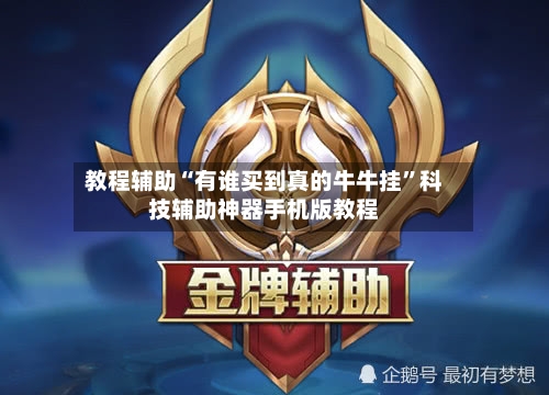 教程辅助“有谁买到真的牛牛挂	”科技辅助神器手机版教程-第3张图片