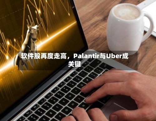 软件股再度走高，Palantir与Uber成关键-第1张图片