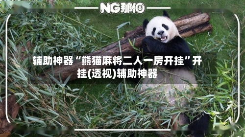 辅助神器“熊猫麻将二人一房开挂”开挂(透视)辅助神器-第1张图片