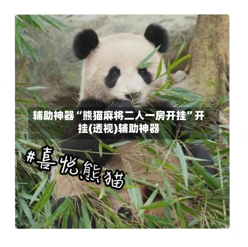 辅助神器“熊猫麻将二人一房开挂	”开挂(透视)辅助神器-第3张图片