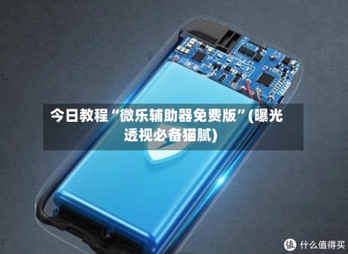 今日教程“微乐辅助器免费版”(曝光透视必备猫腻)-第2张图片