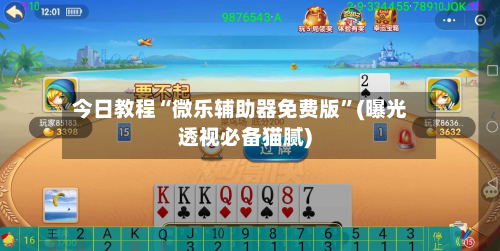 今日教程“微乐辅助器免费版	”(曝光透视必备猫腻)-第1张图片