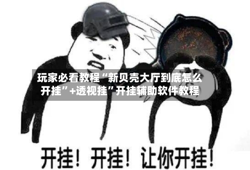 玩家必看教程“新贝壳大厅到底怎么开挂”+透视挂	”开挂辅助软件教程-第2张图片