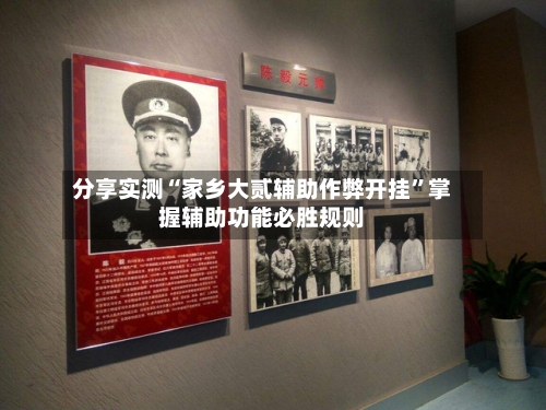 分享实测“家乡大贰辅助作弊开挂”掌握辅助功能必胜规则-第3张图片