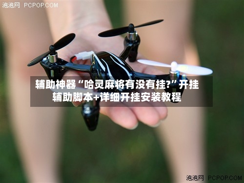 辅助神器“哈灵麻将有没有挂?”开挂辅助脚本+详细开挂安装教程-第1张图片