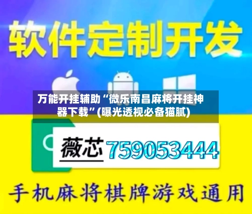 万能开挂辅助“微乐南昌麻将开挂神器下载	”(曝光透视必备猫腻)-第3张图片