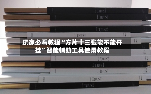 玩家必看教程“方片十三张能不能开挂	”智能辅助工具使用教程-第2张图片