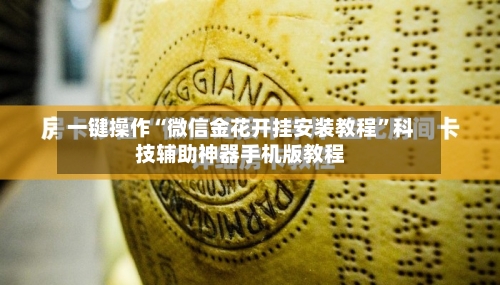 一键操作“微信金花开挂安装教程	”科技辅助神器手机版教程-第2张图片