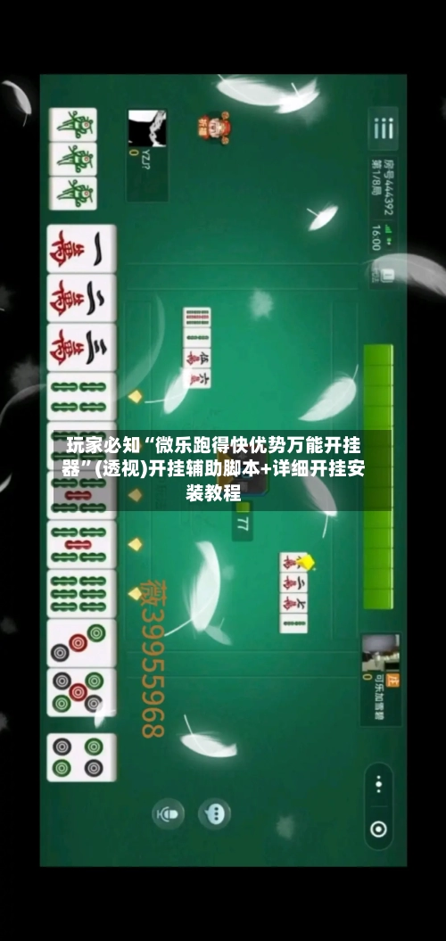 玩家必知“微乐跑得快优势万能开挂器”(透视)开挂辅助脚本+详细开挂安装教程-第2张图片