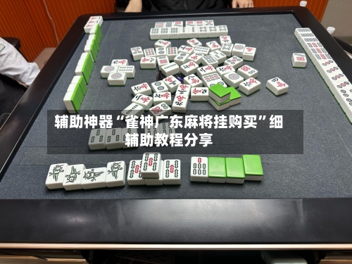 辅助神器“雀神广东麻将挂购买”细辅助教程分享-第3张图片