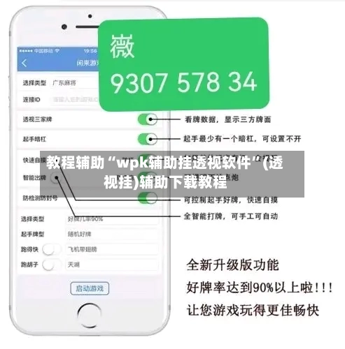教程辅助“wpk辅助挂透视软件”(透视挂)辅助下载教程-第1张图片