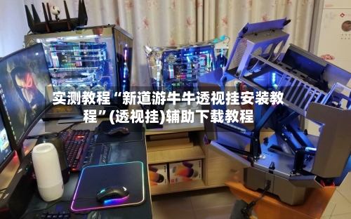 实测教程“新道游牛牛透视挂安装教程”(透视挂)辅助下载教程-第2张图片