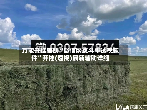 万能开挂辅助“微信网页斗牛透视软件”开挂(透视)最新辅助详细-第3张图片