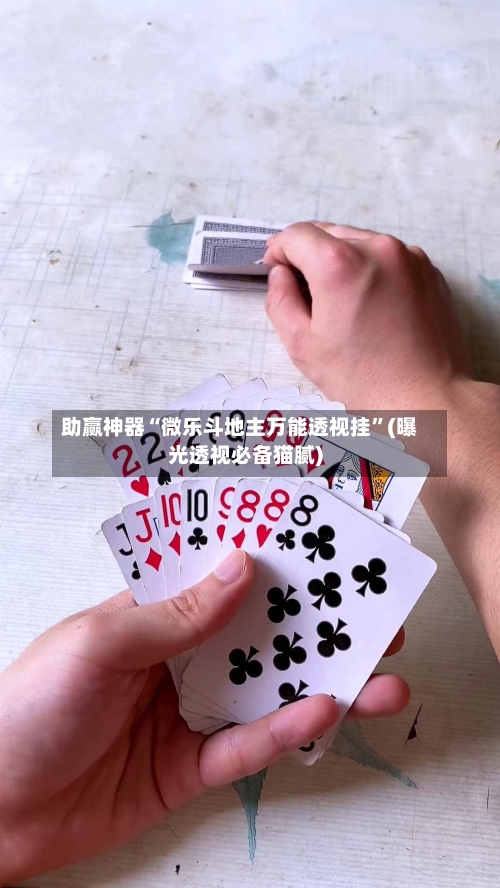 助赢神器“微乐斗地主万能透视挂	”(曝光透视必备猫腻)-第2张图片