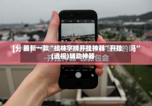 最新一款“桂林字牌开挂神器”开挂(透视)辅助神器-第1张图片