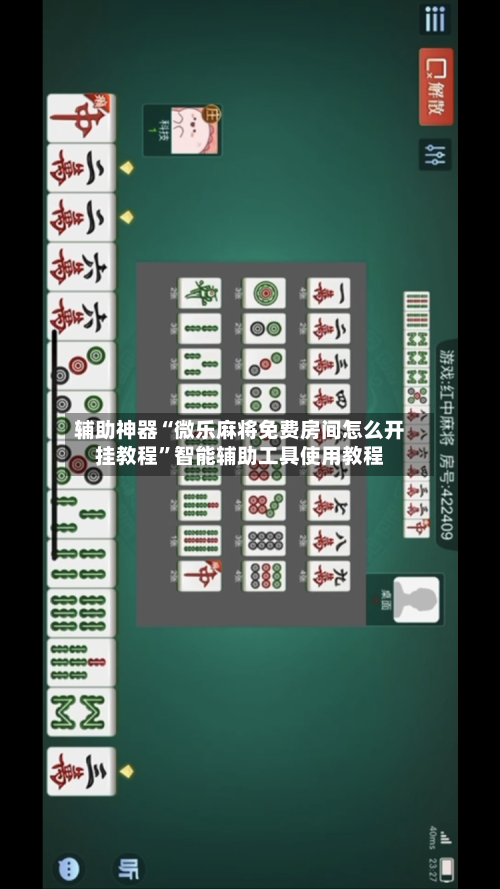 辅助神器“微乐麻将免费房间怎么开挂教程”智能辅助工具使用教程-第3张图片