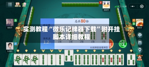 实测教程“微乐记牌器下载”附开挂脚本详细教程-第3张图片