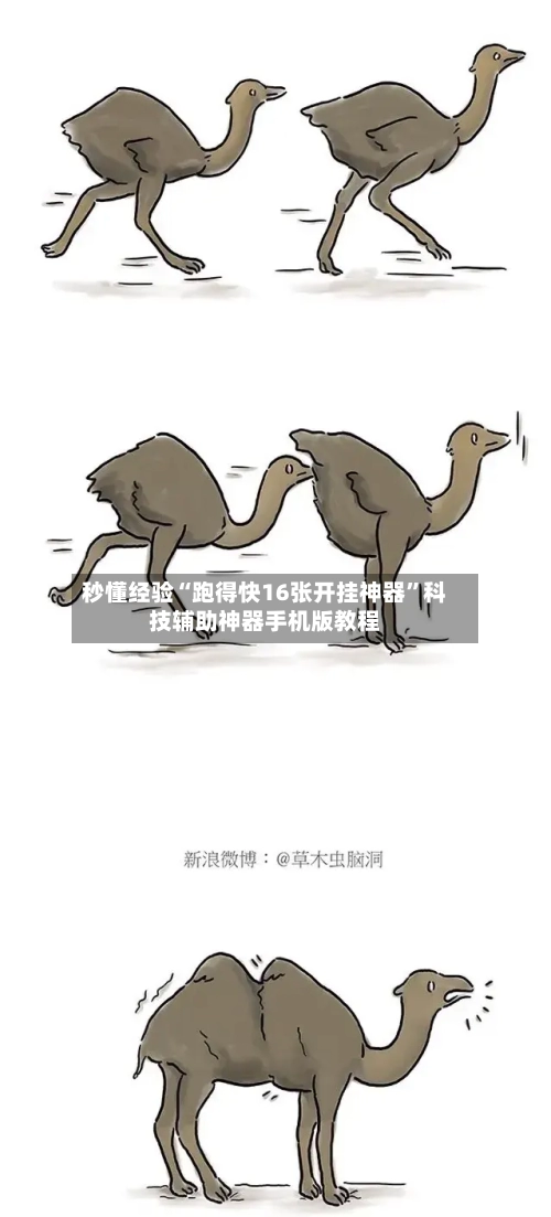 秒懂经验“跑得快16张开挂神器	”科技辅助神器手机版教程-第1张图片
