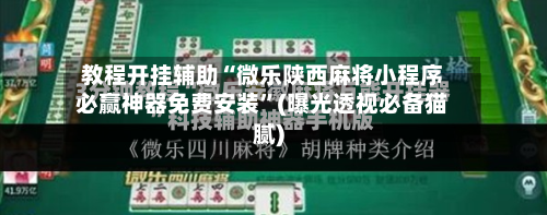 教程开挂辅助“微乐陕西麻将小程序必赢神器免费安装”(曝光透视必备猫腻)-第1张图片