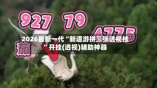 2026最新一代“新道游拼三张透视挂	”开挂(透视)辅助神器-第2张图片