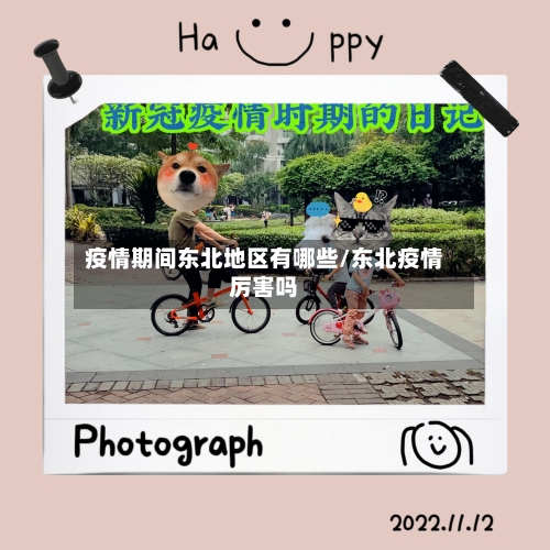 疫情期间东北地区有哪些/东北疫情厉害吗-第1张图片