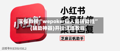 实操教程“wepoker私人局辅助挂”(辅助神器)开挂详细教程-第2张图片