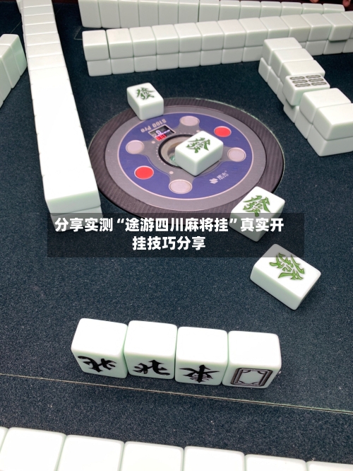 分享实测“途游四川麻将挂”真实开挂技巧分享-第3张图片