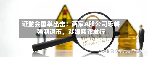 证监会重拳出击！两家A股公司恐将强制退市，涉嫌欺诈发行-第3张图片