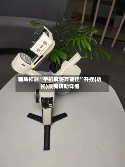 辅助神器“手机麻将万能挂	”开挂(透视)最新辅助详细-第1张图片