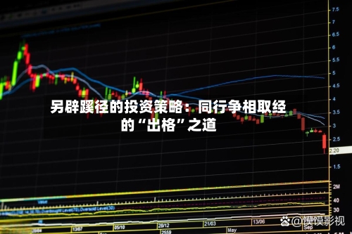 另辟蹊径的投资策略：同行争相取经的“出格”之道-第1张图片