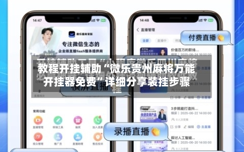 教程开挂辅助“微乐贵州麻将万能开挂器免费”详细分享装挂步骤-第2张图片