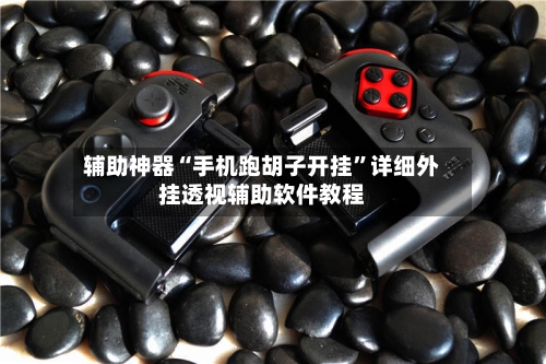 辅助神器“手机跑胡子开挂”详细外挂透视辅助软件教程-第2张图片