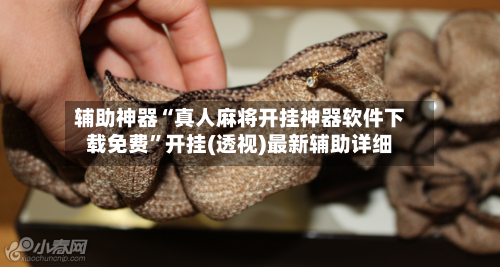 辅助神器“真人麻将开挂神器软件下载免费	”开挂(透视)最新辅助详细-第1张图片