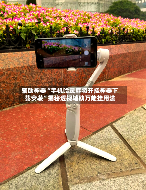 辅助神器“手机哈灵麻将开挂神器下载安装”揭秘透视辅助万能挂用法-第2张图片