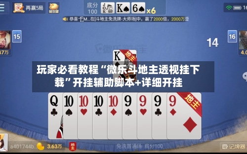 玩家必看教程“微乐斗地主透视挂下载	”开挂辅助脚本+详细开挂-第2张图片