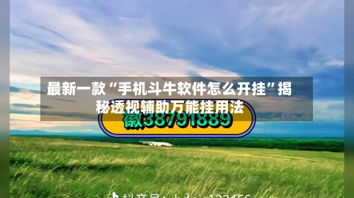 最新一款“手机斗牛软件怎么开挂”揭秘透视辅助万能挂用法-第1张图片