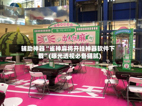辅助神器“雀神麻将开挂神器软件下载	”(曝光透视必备猫腻)-第2张图片