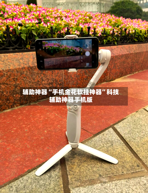 辅助神器“手机金花软挂神器	”科技辅助神器手机版-第2张图片
