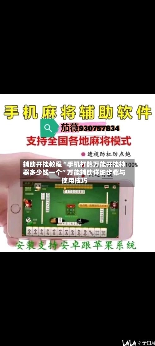 辅助开挂教程“手机打牌万能开挂神器多少钱一个	”万能辅助详细步骤与使用技巧-第3张图片