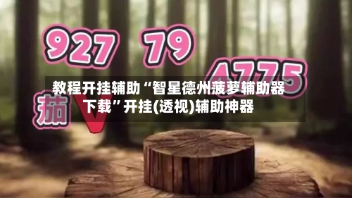 教程开挂辅助“智星德州菠萝辅助器下载”开挂(透视)辅助神器-第2张图片