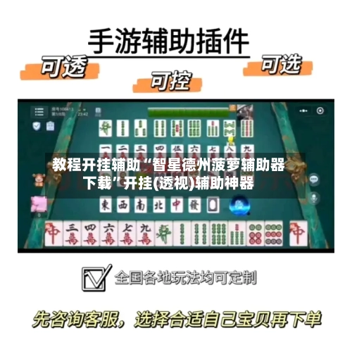 教程开挂辅助“智星德州菠萝辅助器下载”开挂(透视)辅助神器-第3张图片