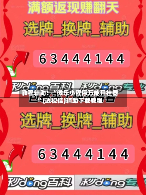 教程辅助！“微乐小程序万能开挂器”(透视挂)辅助下载教程-第2张图片
